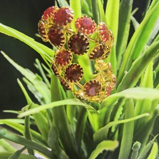 Stone kangan for laddu gopal ji